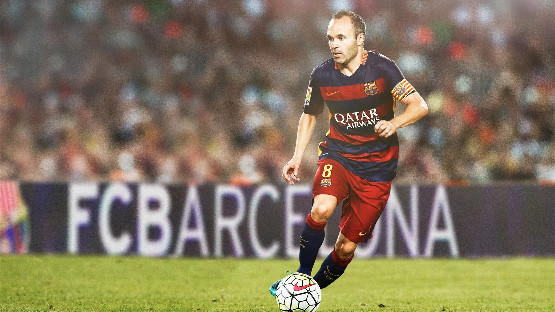 绿军灵魂的独白，霍勒迪，凯尔特人唯一性的守护者